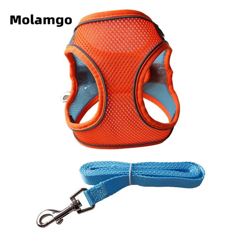 Dây Dắt Thú Cưng Phản Quang Thoáng Khí Kèm Dây Dắt