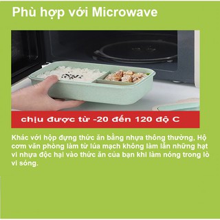 Hộp cơm lúa mạch 3 ngăn kèm đũa thìa inox