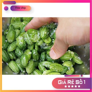 HẠT GIỐNG DƯA HẤU MINI - 10 hạt LUCKY.VN