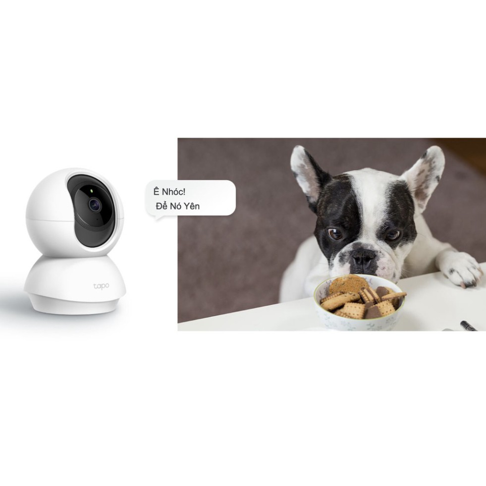 Camera Wifi Trong Nhà TP-Link Tapo C200 và Tapo C210 - Camera xoay 360 độ, Phát hiện chuyển động, Quay đêm hồng ngoại