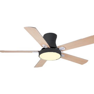 Quạt trần thông minh Gigasun Arcot A001