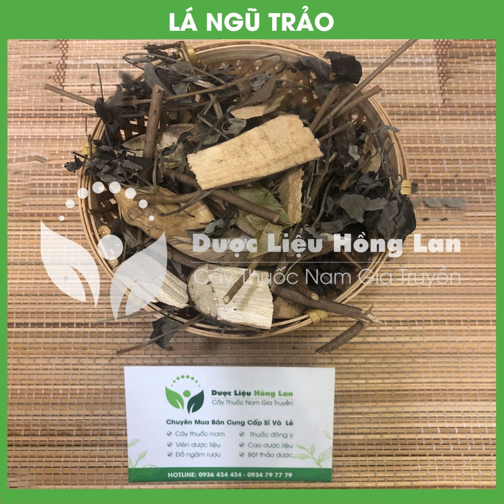 LÁ CÂY NGŨ TRẢO khô sạch đóng gói 1kg - congtyduoclieuhonglan