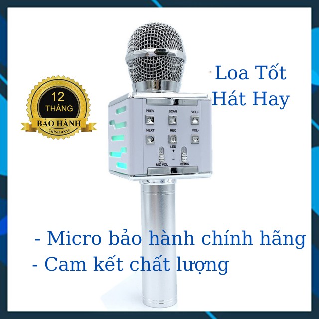 [ Bảo Hành 12 Tháng ] Mic Karaoke Bluetooth DS868 BÁN CHẠY Micro Không Dây Bluetooth Loa Trình Phát Nhạc Hát Ghi Âm