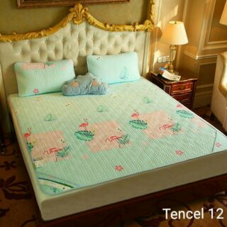 Chiếu teccel chuẩn m6*2m