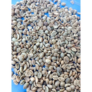 1 kg Cà Phê Nhân Xanh robusta (hạt chưa rang)