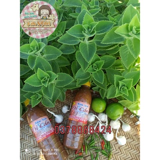 [Combo] 2 chai mắm nêm Dì Cẩn 500g