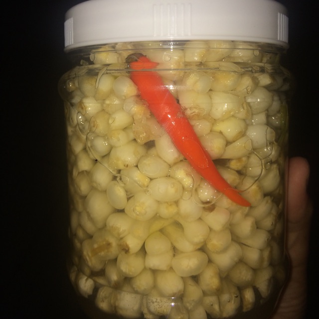 850g dưa kiệu 60k