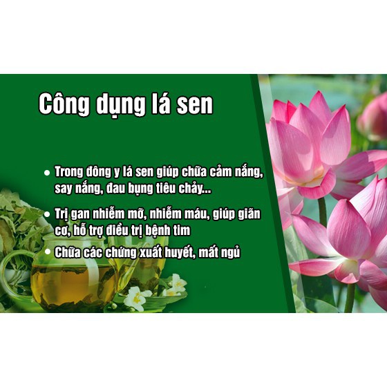 Bột lá sen nguyên chất 100g - Đẹp da, giảm mụn, mờ nám tàn nhang, cấp ẩm cho da, giảm mỡ máu hiệu quả