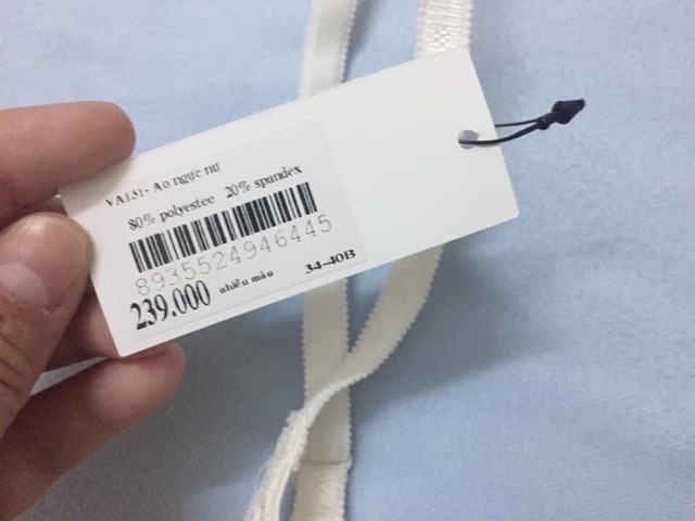 Áo lót mút mỏng Ibasic size 34B ( Mã số : 14.3 ) | BigBuy360 - bigbuy360.vn