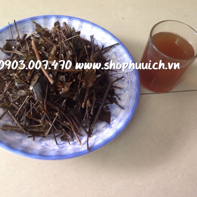 Chè vằng lợi sữa +giảm cân (vằng sẻ lá nhỏ QTri ) | BigBuy360 - bigbuy360.vn