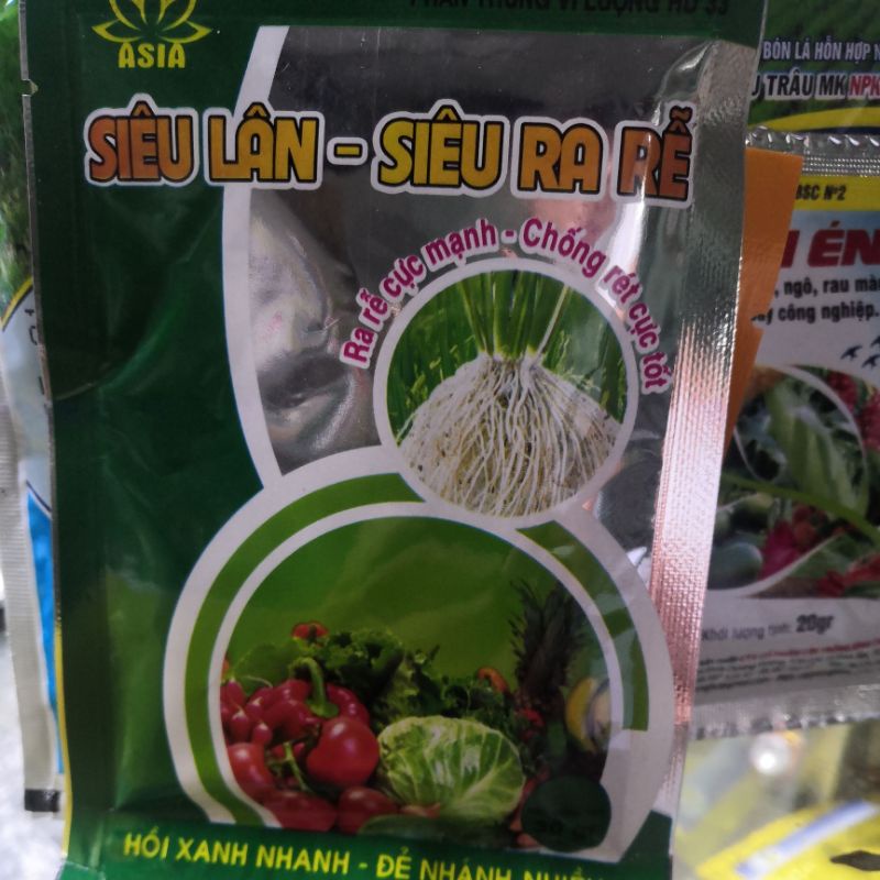 Siêu Lân Siêu Ra Rễ