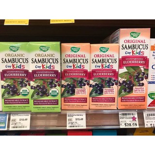 TĂNG SỨC ĐỀ KHÁNG SAMBUCUS  ORGANIC