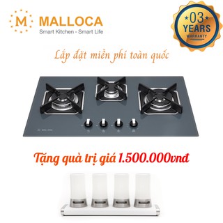 Bếp Gas Malloca AS 9603DG