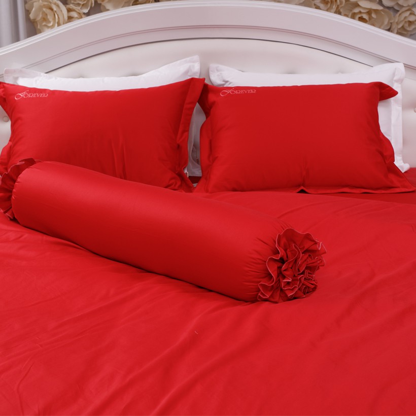 Bộ chăn ga gối Forever Silky G121