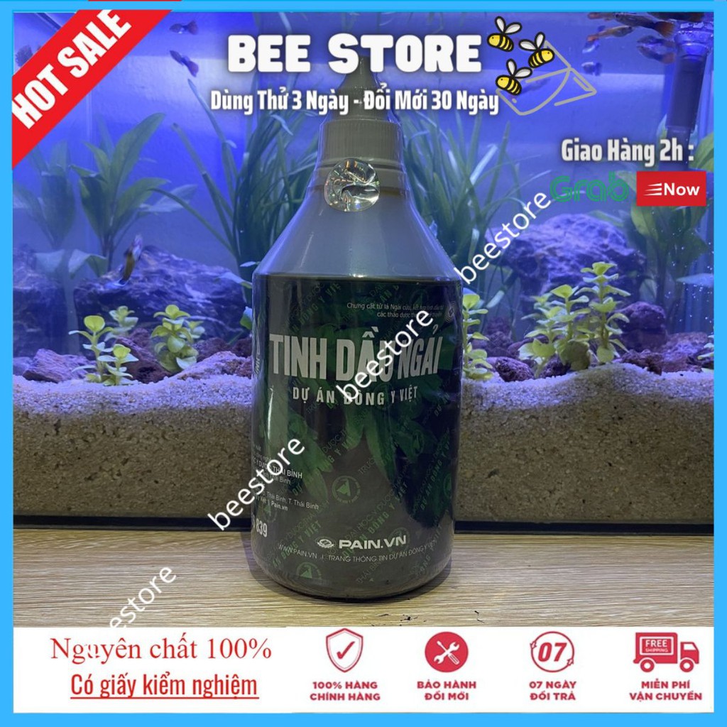 Tinh Dầu Ngải Cứu Đại Học Y Thái Bình 500ml