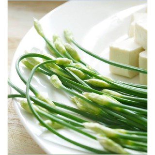 Hạt Giống Cây Lá Hẹ Ta– 2 Gram ( 1 gói )