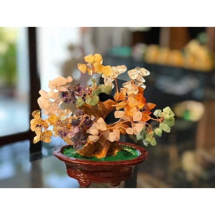 💥 GIÁ CỰC RẺ 💥 Cây đá phong thuỷ Ngũ Sắc