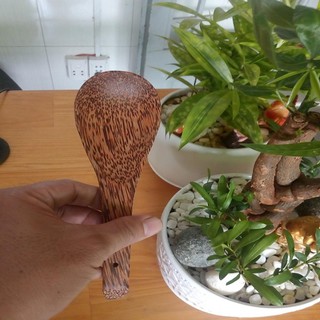 muỗng gỗ múc cơm