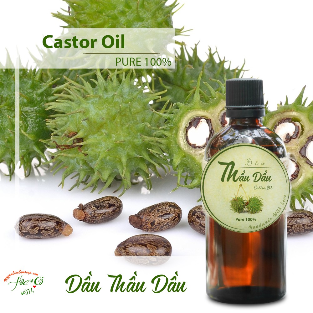 DẦU THẦU DẦU ( CASTOR OIL )