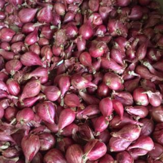 Hành Tím Lý Sơn