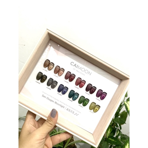 Set Sơn Gel Thạch 12 màu tặng kèm bảng màu