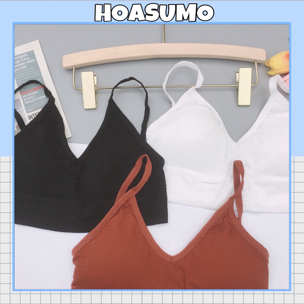 Áo Bra Gân Tăm Khoắt Lưng Đẹp AL381