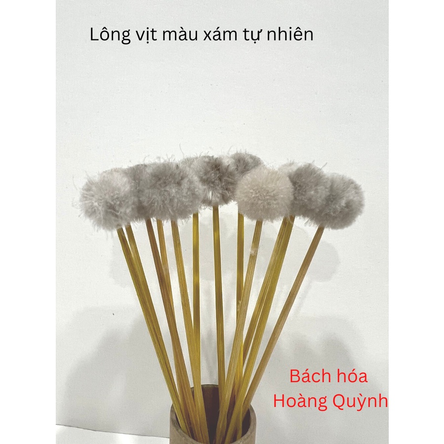 5 cây bông ngoáy tai  bông ráy tai , bông se tai thân gỗ đầu lông màu xám tự nhiên.