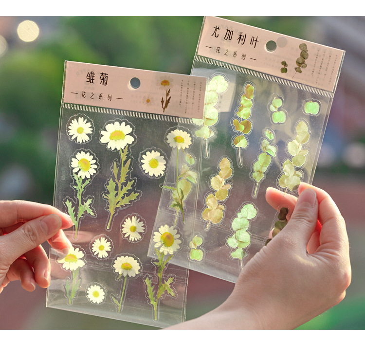 Miếng dán PET họa tiết hoa cúc trang trí sổ tay/Album DIY