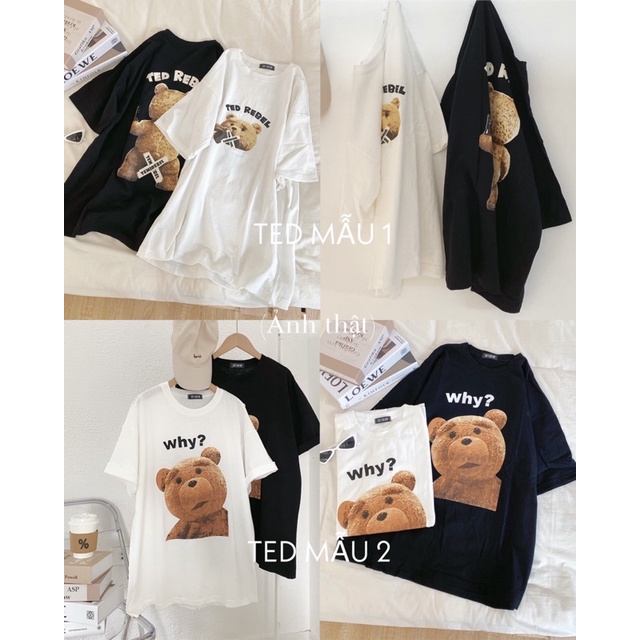 Áo phông in hình gấu TED ( Ảnh thật ) | BigBuy360 - bigbuy360.vn