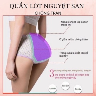 Quần lót nguyệt san / quần lót chống tràn dùng trong ngày đèn đỏ chất liệu cotton cao cấp qlns01