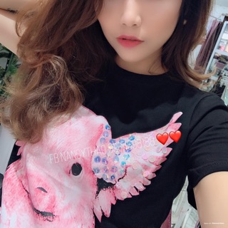 Áo phông 2019