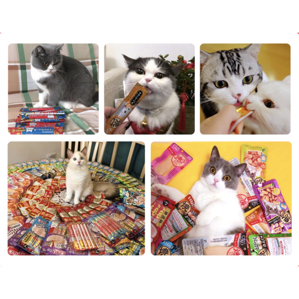 Súp thưởng cho mèo Ciao Churu 14g 12g nhiều vị, kem dinh dưỡng tăng cân mập mèo Con Mèo Xiêm