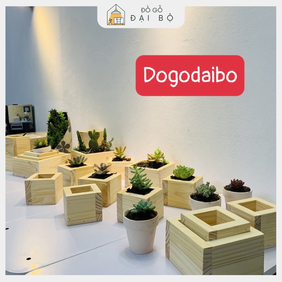 Combo 3 chậu gỗ trồng sen đá, xương rồng chất liệu gỗ thông tự nhiên hàng loại 1 giá xưởng