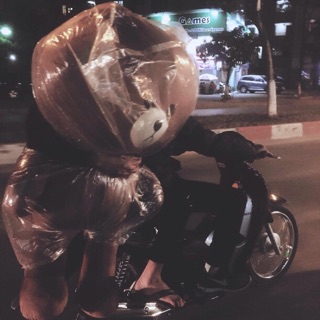 Gấu bông brown khổ vải mét 5