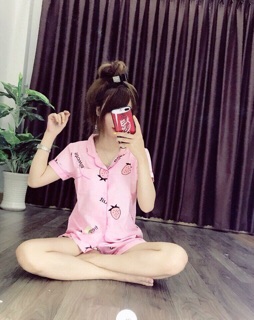❤️ Đồ Bộ Tay Ngắn Quần Ngắn ❤️