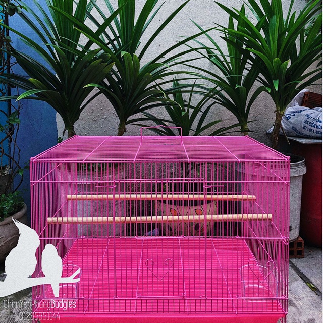 Lồng chim lớn sơn tĩnh điện 40x60 (DxR) nuôi: vẹt, chào mào, chim cảnh, sóc... đủ phụ kiện (2 cóng ăn, 1 cầu đứng).