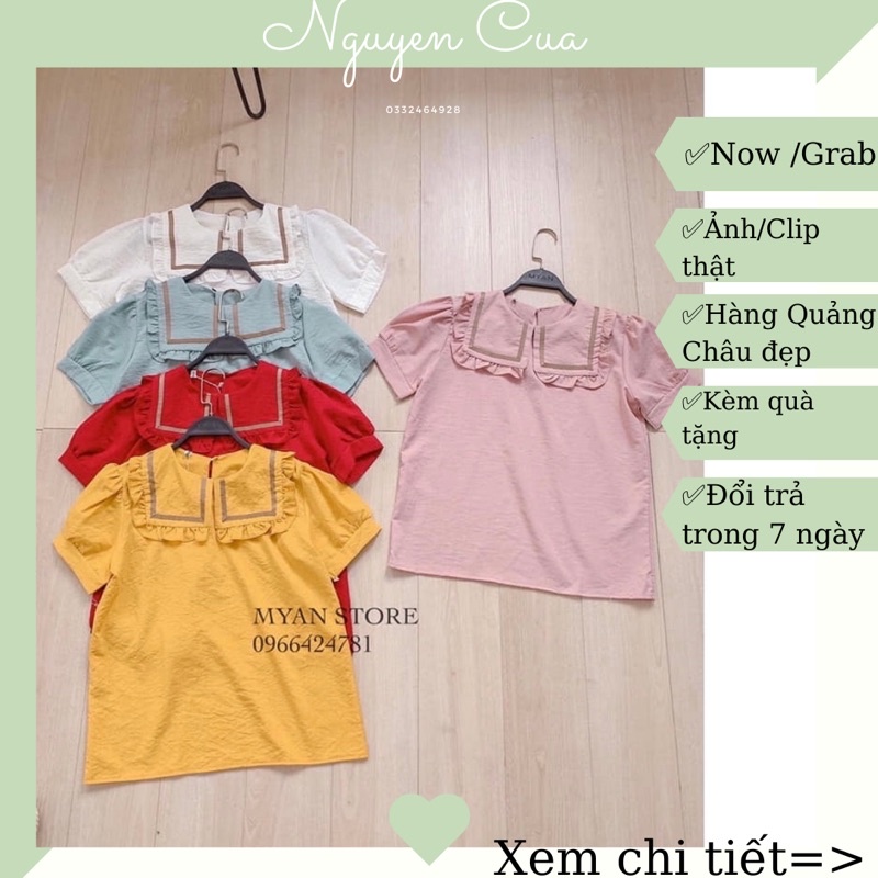 Áo Sơ Mi Nữ Cổ Vuông Viền Ren Bán sỉ