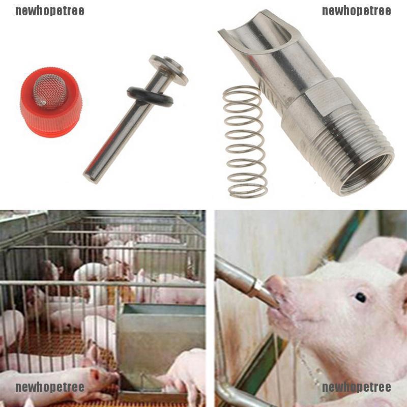 Vòi Uống Nước Tự Động Bằng Thép Không Gỉ