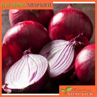Hạt giống hành tím (Nội địa Trung). 2 gr/gói