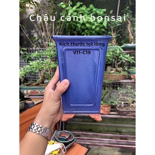 Chậu vuông cao - số lượng có hạn- chậu trồng cây bonsai - chậu trồng sen đá - chậu cảnh bonsai
