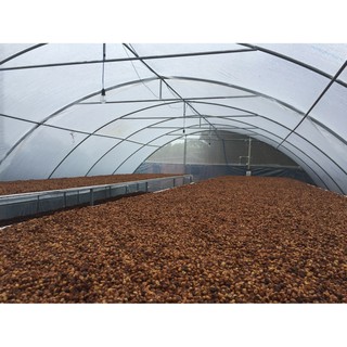 1KG CÀ PHÊ BỘT RANG MỘC 100% ROBUSTA