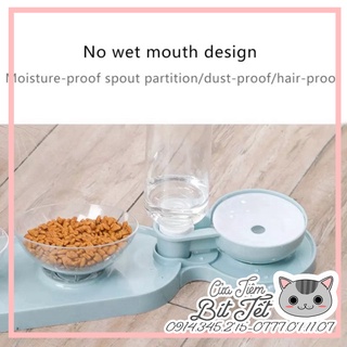 🔆🔆 Bát ăn cho thú cưng, bộ bát ăn uống tự động cho chó mèo 3in1, chén nghiêng 45 độ chống sặc chống gù 🥰🥰