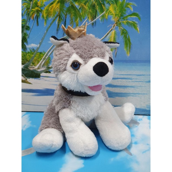 Gấu bông teddy chó lông giống thât