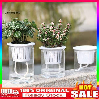 (daminglack) 1 Hộp Thuốc Khử Trùng Hồ Bơi Chống Khuẩn Làm Sạch Sâu Cho Mùa Hè