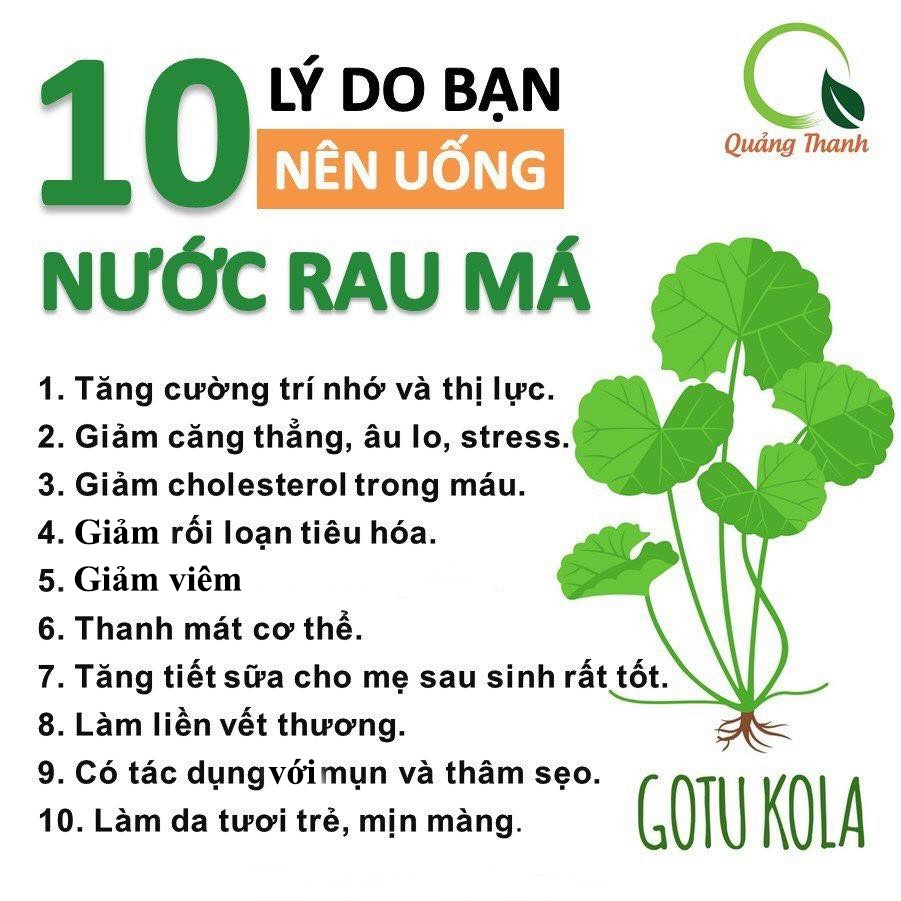 Bột rau má nguyên chất sấy lạnh Quảng Thanh (100g)