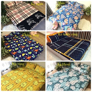 Bộ ga gối poly cotton m6/m8 ( được chọn mẫu)