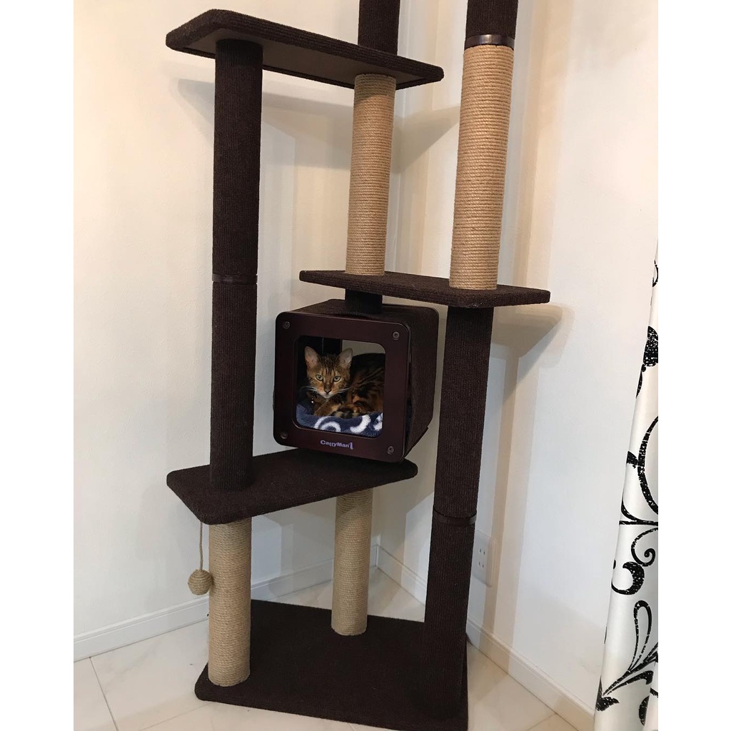 Tháp mèo Double CattyMan dành cho mèo cưng - 84180