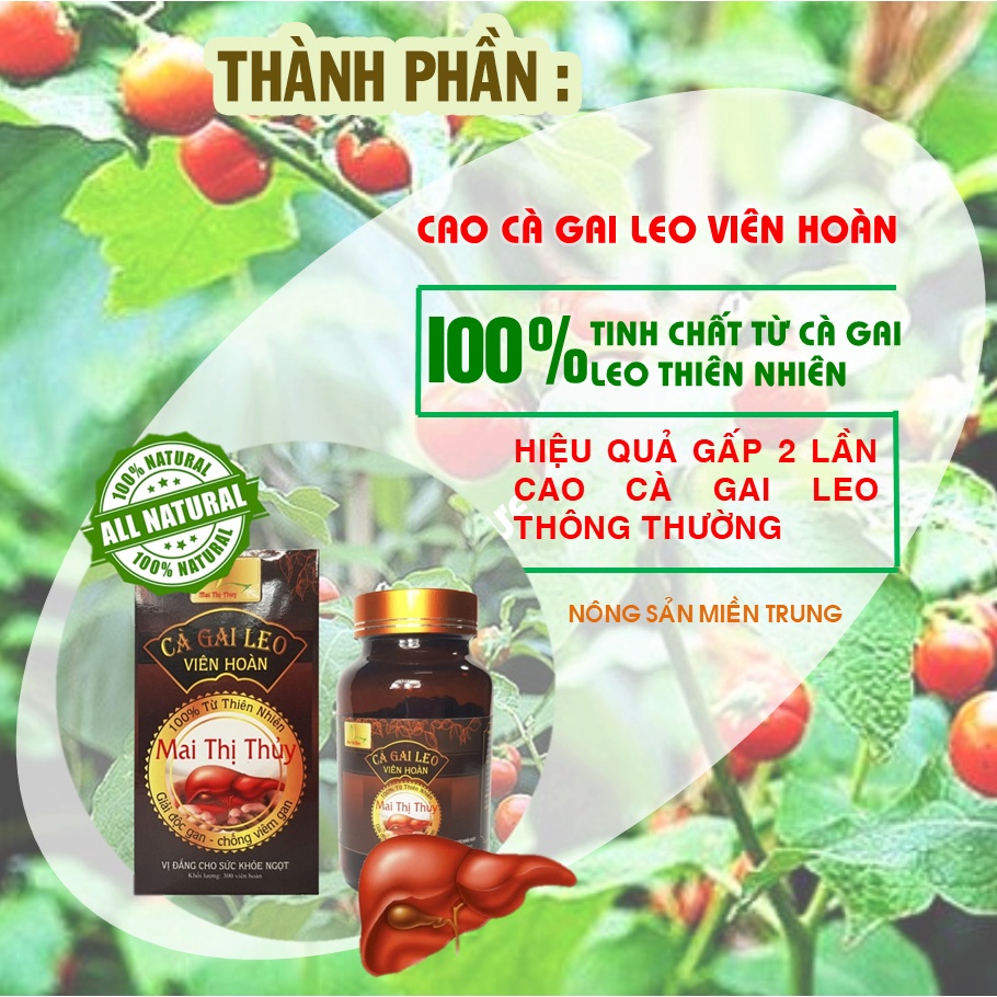 Cao Cà Gai Leo Nguyên Chất Hộp 300 Viên - Giúp bổ gan, hạ men gan, tăng cường chức năng gan hiệu quả