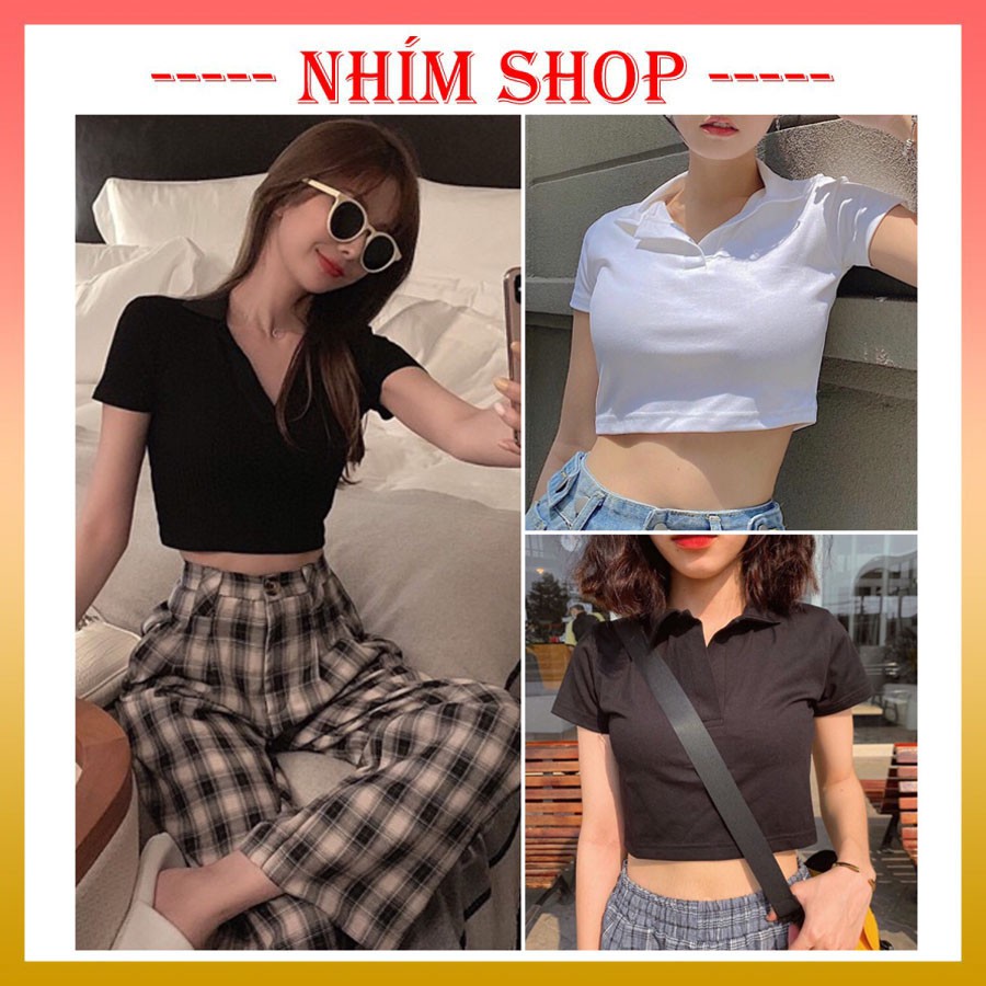 Áo Croptop Nữ Kiểu Ôm Tay Ngắn - Áo Croptop Polo Ngắn Tay 2 Màu Trắng Đen AT05