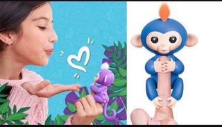  Khỉ fingerlings 